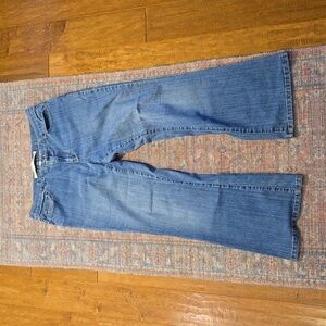 Medium Wash Flare Jean